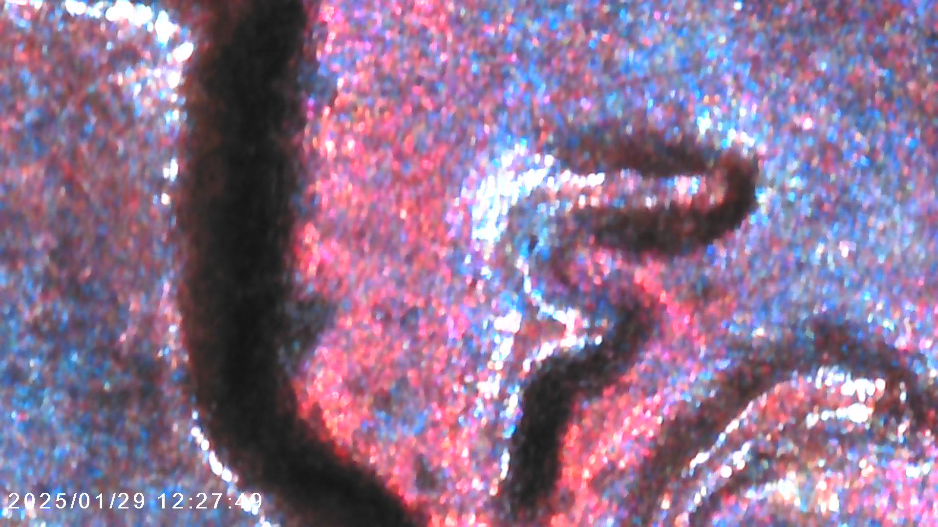 One-Cent-1972-P---USA---Lincoln-Memorial-Cent
